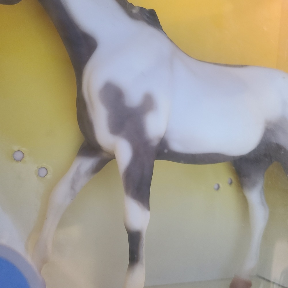 Breyer Domino The Happy Canyon Trail Horse #871 Com. Ed. 1287/7500 with Box - Picture 6 of 12